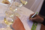 LA D.O. RUEDA OBTIENE 6 MEDALLAS EN EL CONCURSO MUNDIAL DE SAUVIGNON