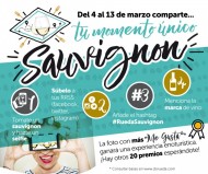 "RUTA DEL RUEDA SAUVIGNON": BASES DE LA PROMOCION