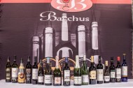 LOS VINOS DE LA D.O. RUEDA OBTIENEN 35 MEDALLAS EN LOS PREMIOS BACCHUS 2017