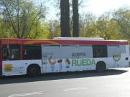 SEVILLA: AUTOBUSES URBANOS INTEGRALES