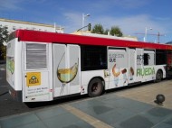 SEVILLA: AUTOBUSES URBANOS INTEGRALES