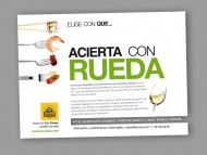 MÁGNIFICA ACEPTACIÓN DE LA NUEVA AÑADA DE LOS VINOS DE LA D.O. RUEDA EN GRANADA Y MURCIA