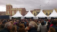 FIESTA DE LA VENDIMIA DE RUEDA: INTERÉS TURÍSTICO REGIONAL