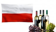 IX EDICIÓN DE LA FERIA DE VINOS ESPAÑOLES EN POLONIA