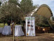 BALEARES: TORNEO GOLF MALLORCA ZEITUNG