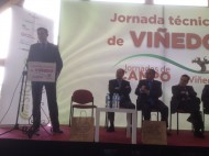 Una jornada técnica analiza en Rueda el viñedo de la comunidad y su papel en la obtención de vinos de calidad