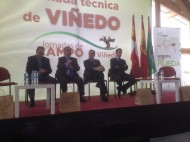 Una jornada técnica analiza en Rueda el viñedo de la comunidad y su papel en la obtención de vinos de calidad