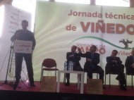 Una jornada técnica analiza en Rueda el viñedo de la comunidad y su papel en la obtención de vinos de calidad